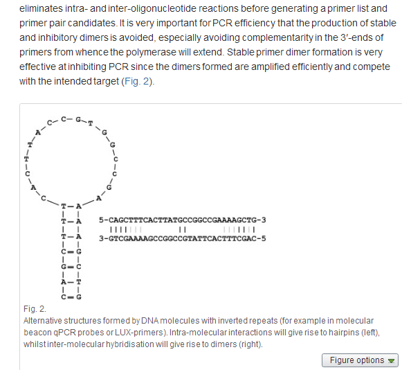 Java web tools for PCR, in silico PCR, and oligonucleotide assembly and